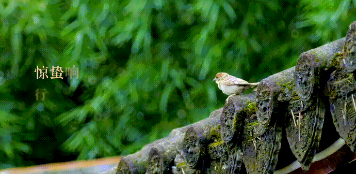 TOP案例丨XR/MR場(chǎng)景創(chuàng)新、超級(jí)品牌符號(hào)，保利威「春季發(fā)布會(huì)」玩出直播營(yíng)銷新高度！